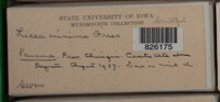 Image Associated With the Occurence